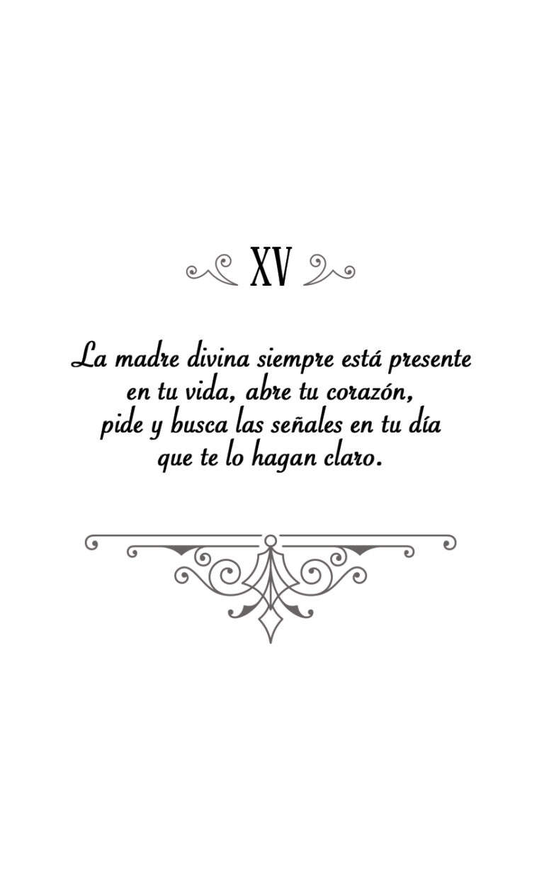 XV